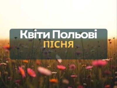 Пісня "Квіти польові"