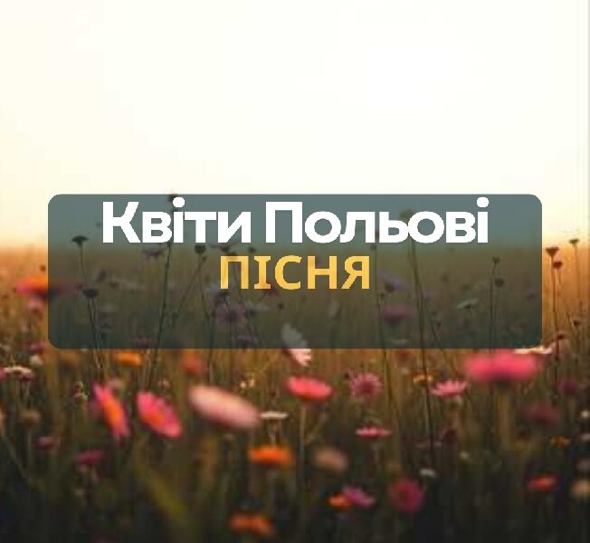 Пісня "Квіти польові"